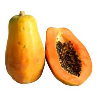 Papaya x und