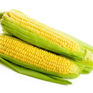 sweet corn