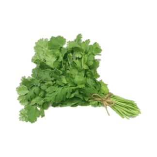 Cilantro x 100 gr