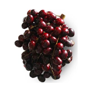 Corozo x 500 gr