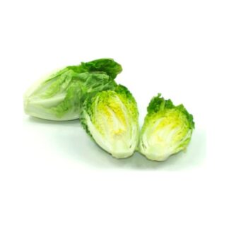 Lechuga Cogollo x 250-300 Gr