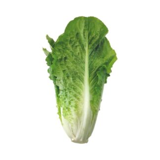 Lechuga Romana x 200 Gr