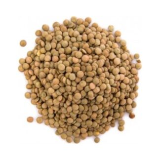 Lenteja x 500gr