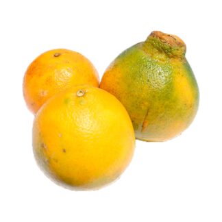 Naranja Tangelo x und (333 Gr aprox)