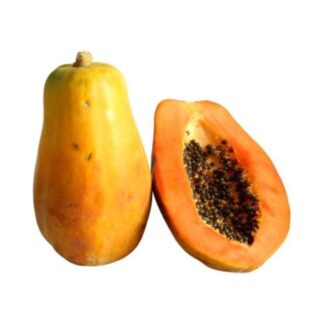 Papaya x und