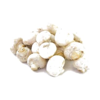 Champiñón Blanco x 1000 Gr