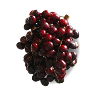 Corozo x 500 gr