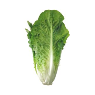 Lechuga Romana x 200 Gr