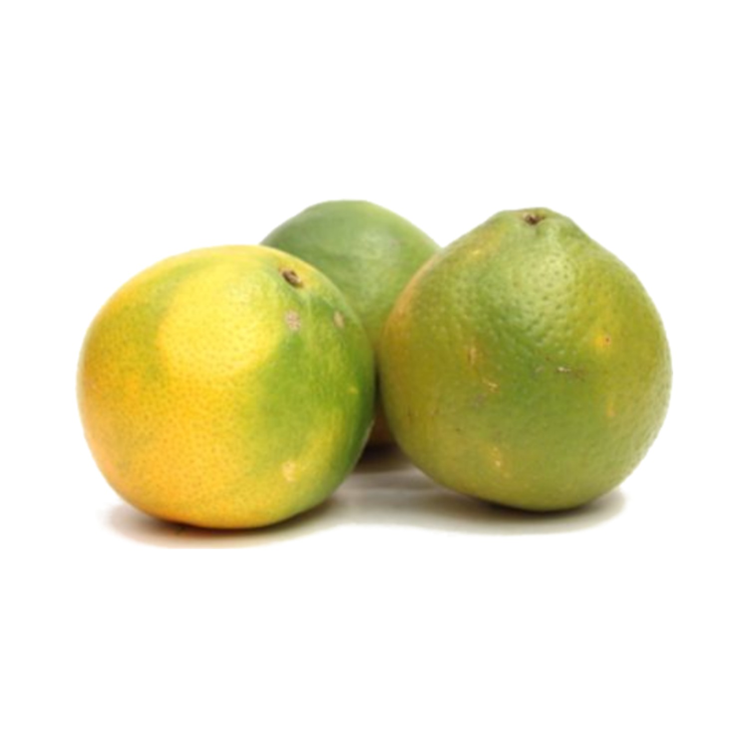 Naranjas x und