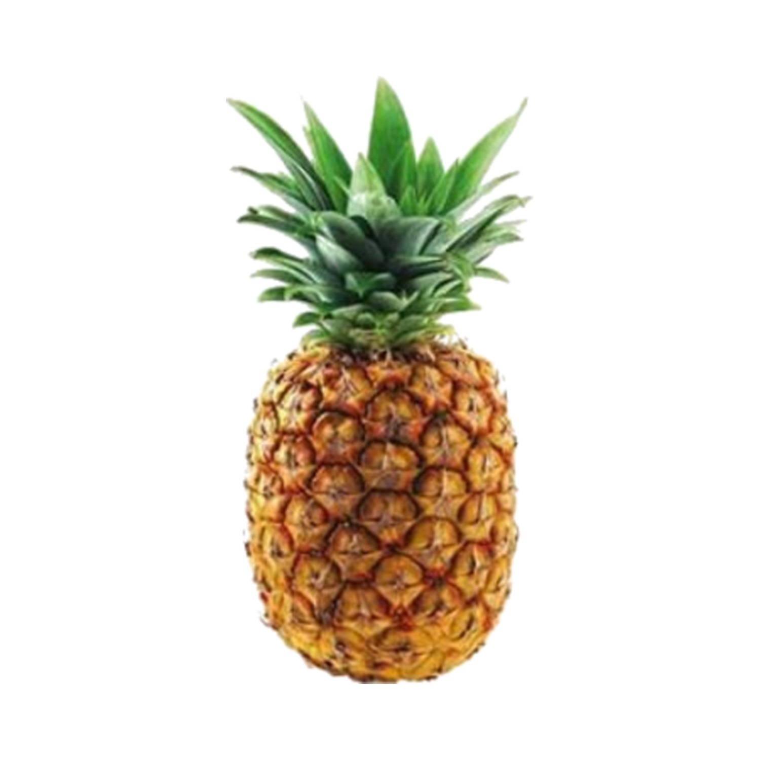 Piña Criolla und